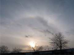 Cirrostratus
